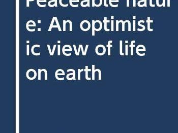 Peace & Energy Integration: A Holistic Approach to Sustainable Living