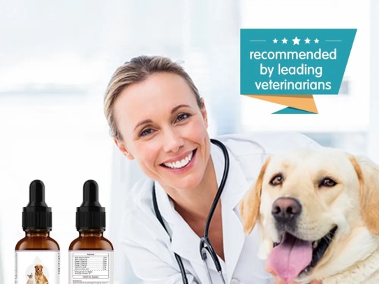 What Essential Oils Are Safe for Pets: A Comprehensive Guide to Pet-Friendly Aromatherapy