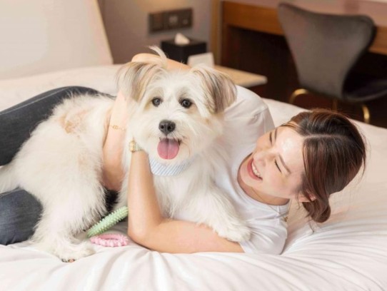 ## Discover the Best Pet Friendly Hotels Near Charlotte, NC for Your Perfect Getaway