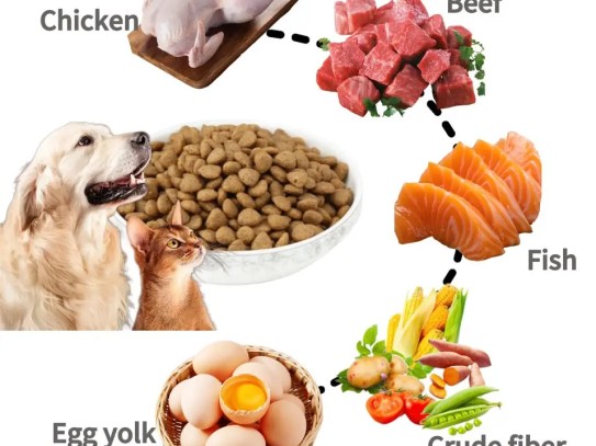 Discover the Best Pet Food Assistance Near Me: A Comprehensive Guide